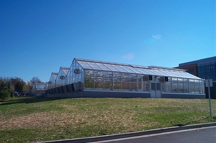 a shot of the greenhouse built for the Donald Danforth Plant Science Center