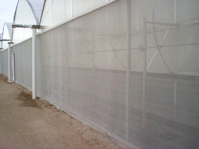 Screening prevents pests from entering large-scale horticultural greenhouses.