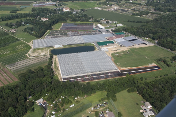 a bird's eye view of the Lucas Greenhouses
