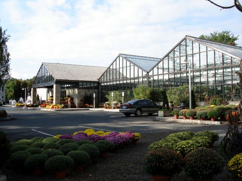 a view from the outside of a Bright Sky greenhouse by Prospiant
