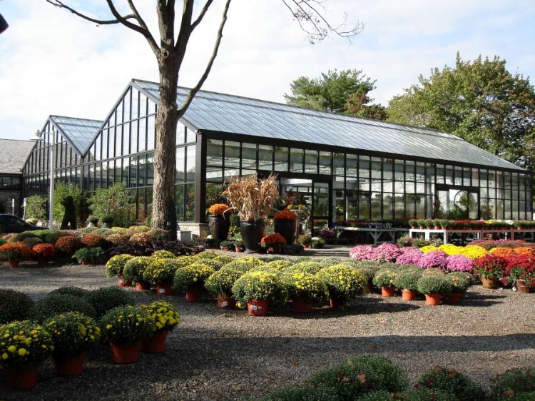 a view from the outside of the Mariani Garden Market which uses the Bright Sky, Specialty Structures and Vail Atrium greenhouse types from Prospiant.