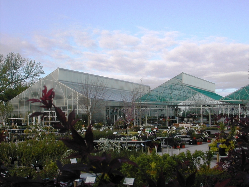 a view of The Zail greenhouse from the outside by Prospiant