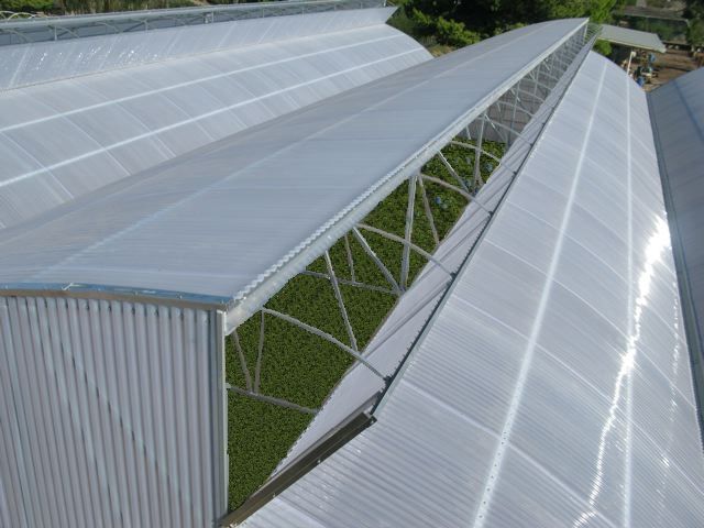Atrium vent option of roof of Zephyr greenhouse