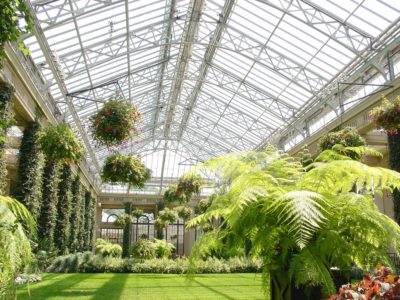 a view of a conservatory from the inside with prospiant glass sky atrium