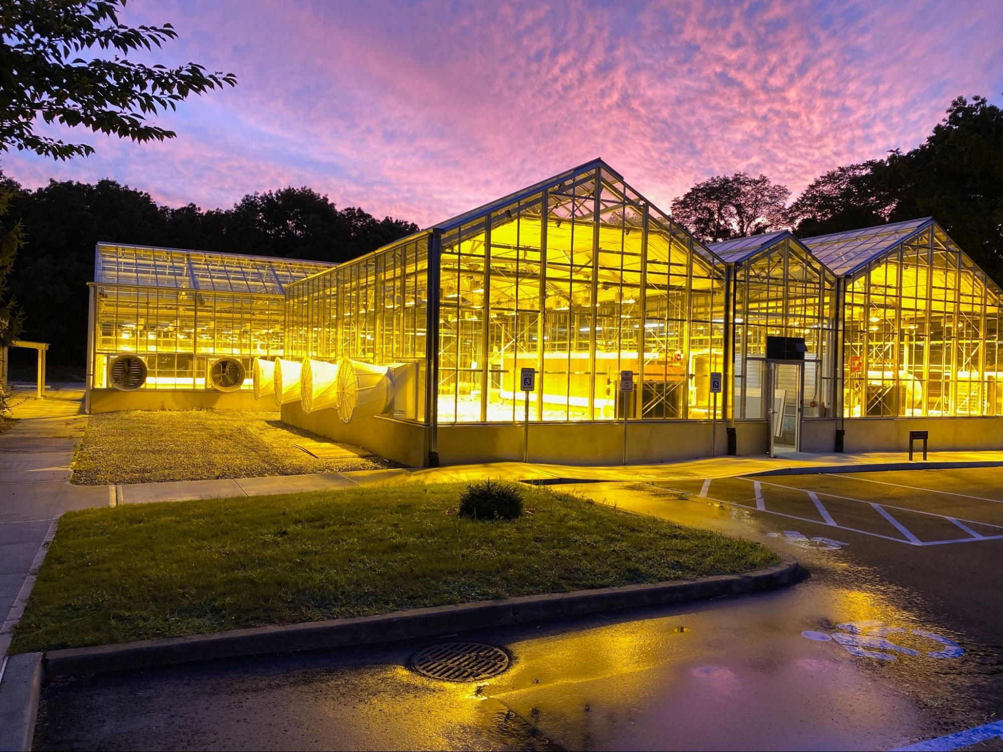 Institutional Greenhouses | Prospiant
