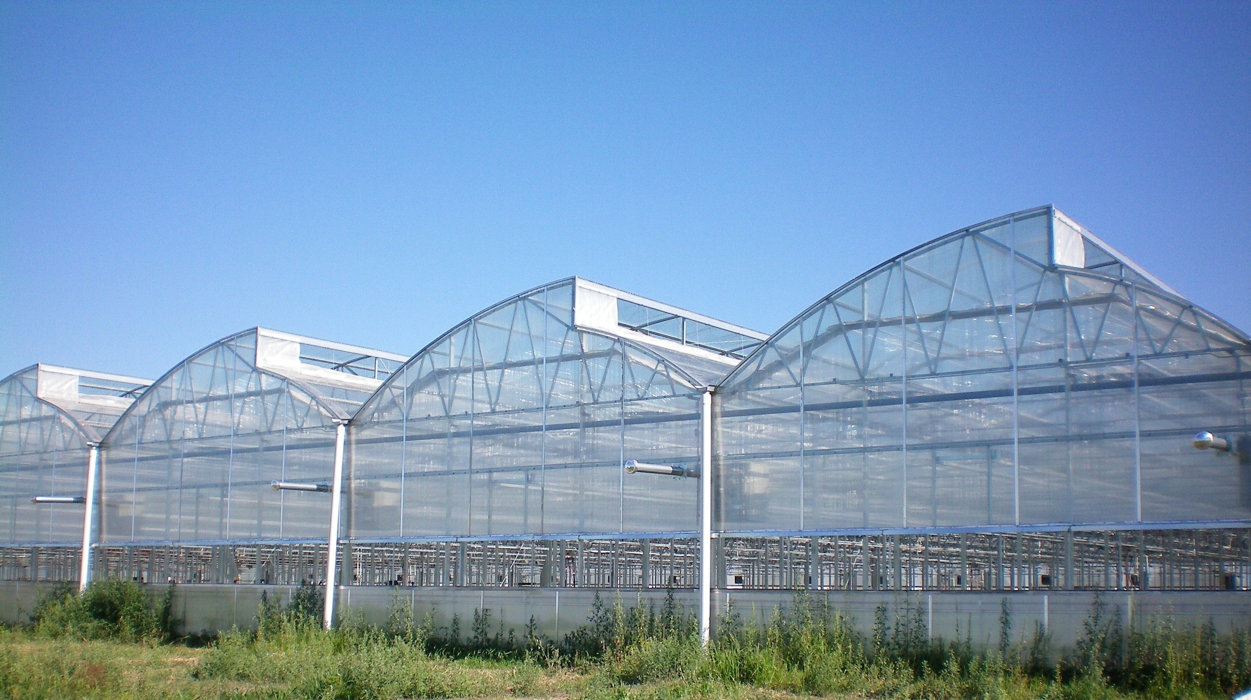Zephyr greenhouse showing unique venting on roof for cooling and dehumidification