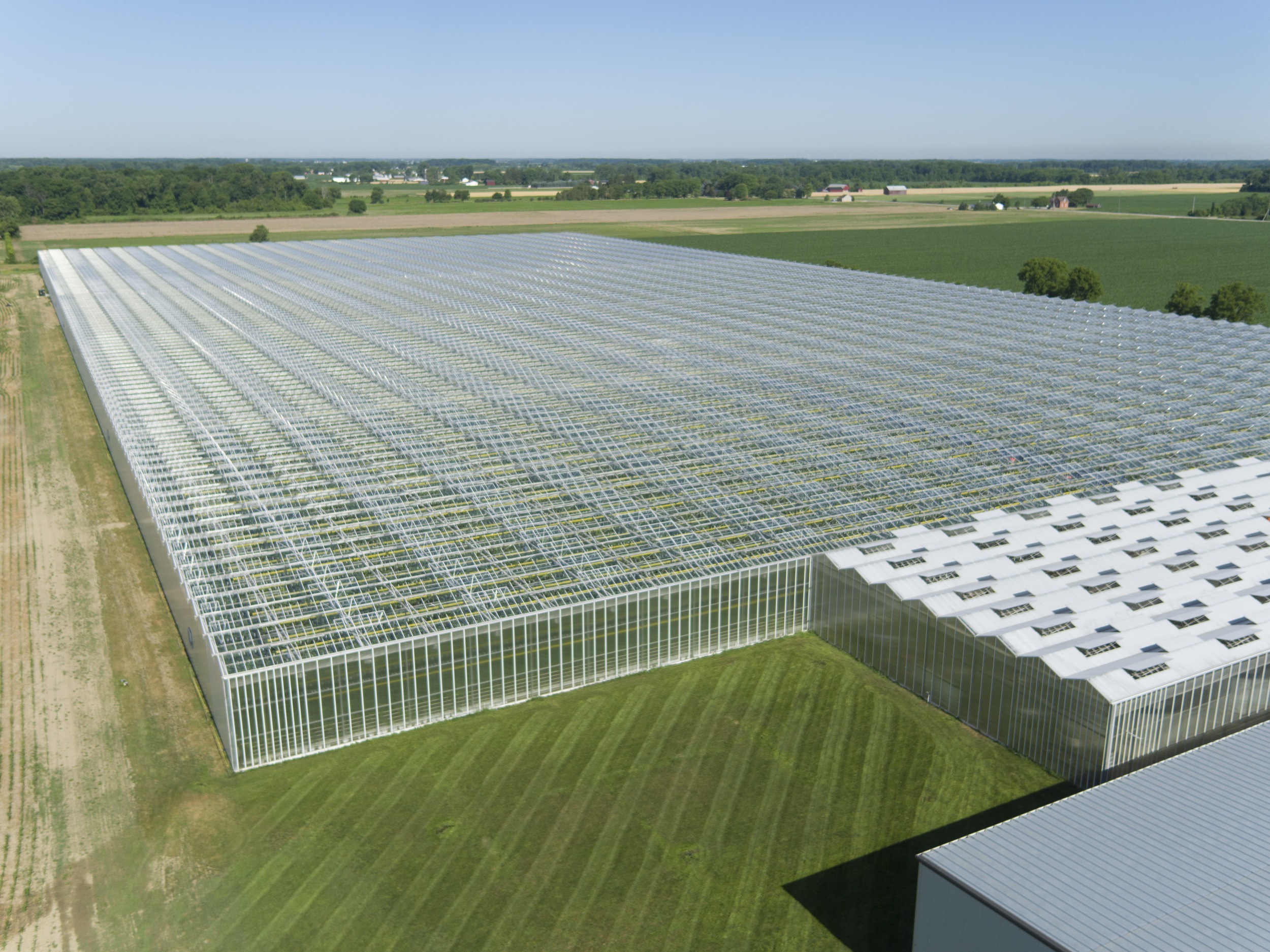 Aerial view of Venlo greenhouse range