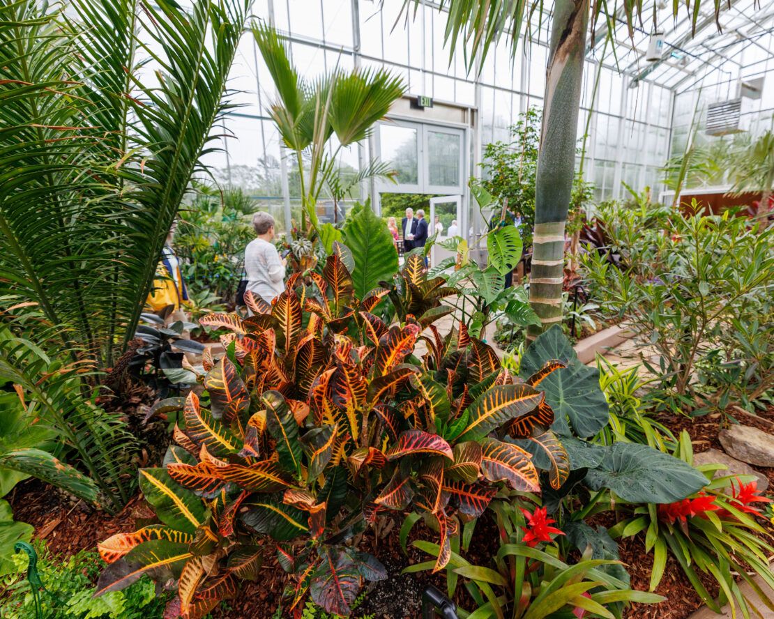 Visitors enjoy the new Memphis Botanic Garden greenhouse, which opened to the public in May of 2024.