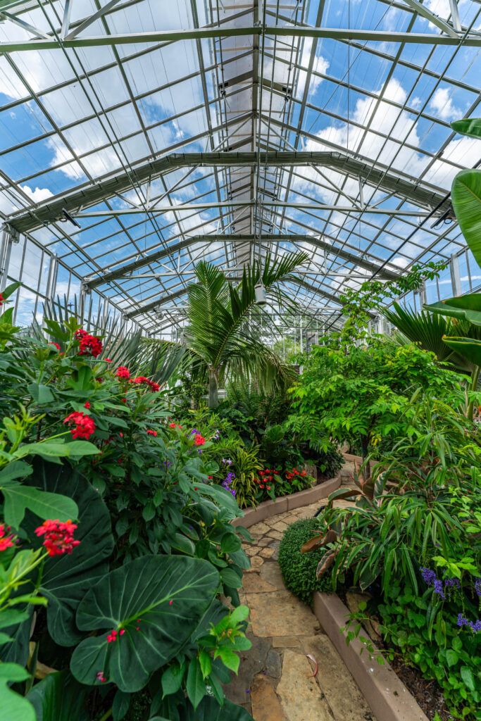 View of main bay in conservatory glasshouse with plantings and winding stone trail