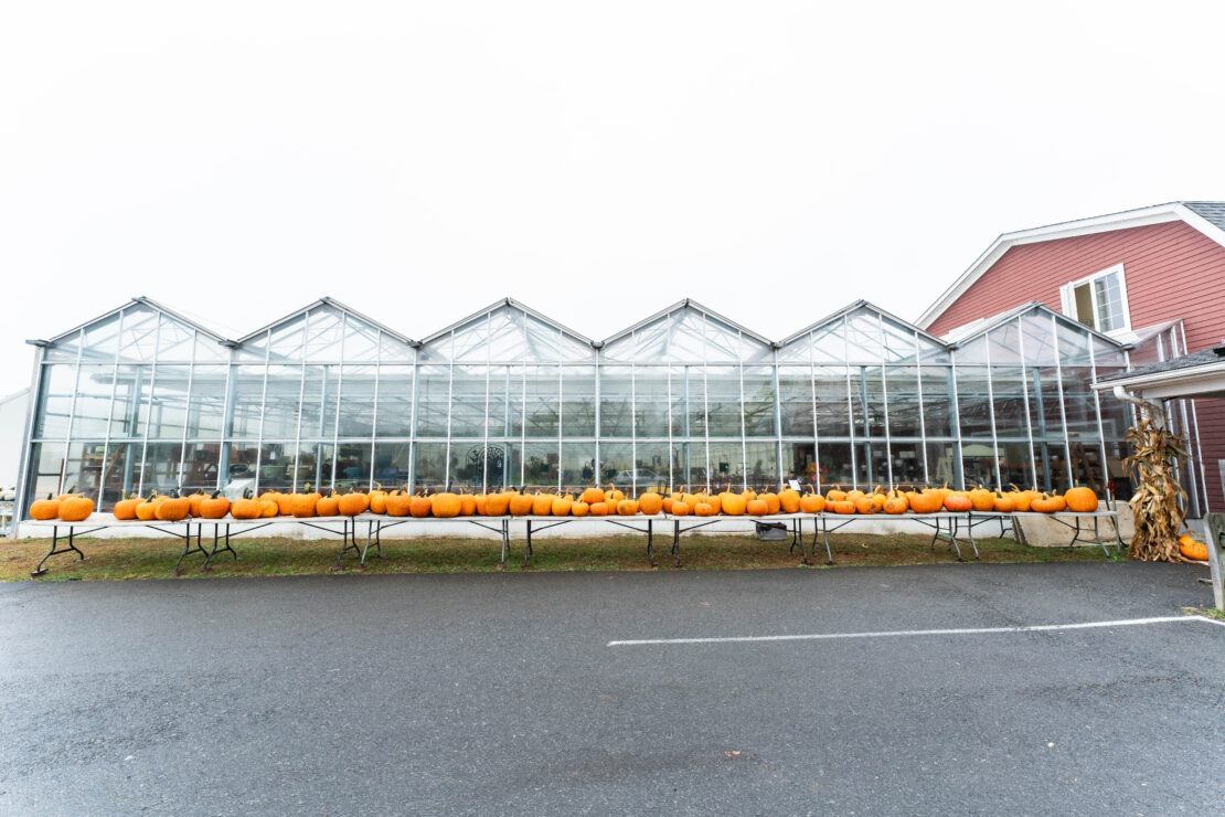 Seasonal display in front of row of new Open-Roof greenhouses at Samascott's Garden Market