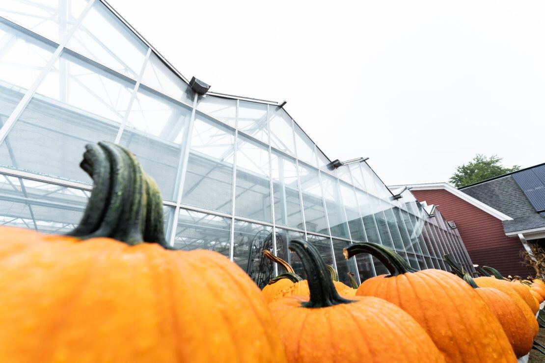 Sidewall of Open Roof greenhouses with seasonal display in front