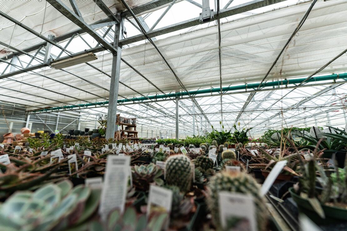 Interior of greenhouse retail center with curtain shading system overhead