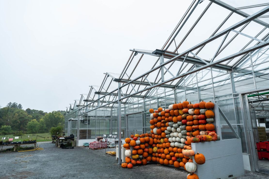 The Open-roof greenhouses at Samascott's have an extended overhang to make room for displays.