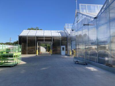Loading docks in front of Vail Atrium greenhouse at Hicks Nursery