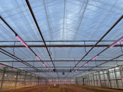 Cavity screens help with energy efficiency in greenhouses.