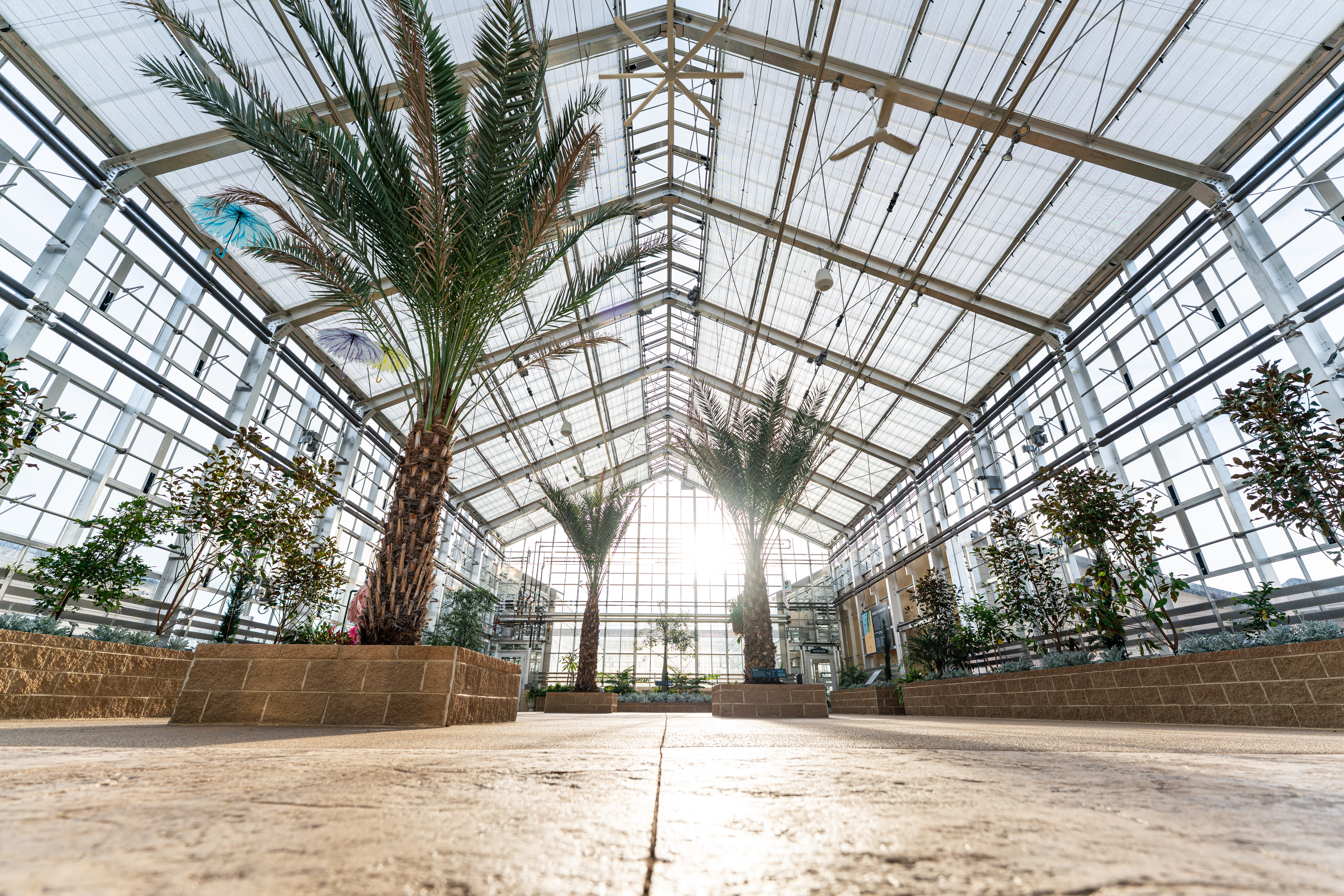 Creation Museum Conservatory