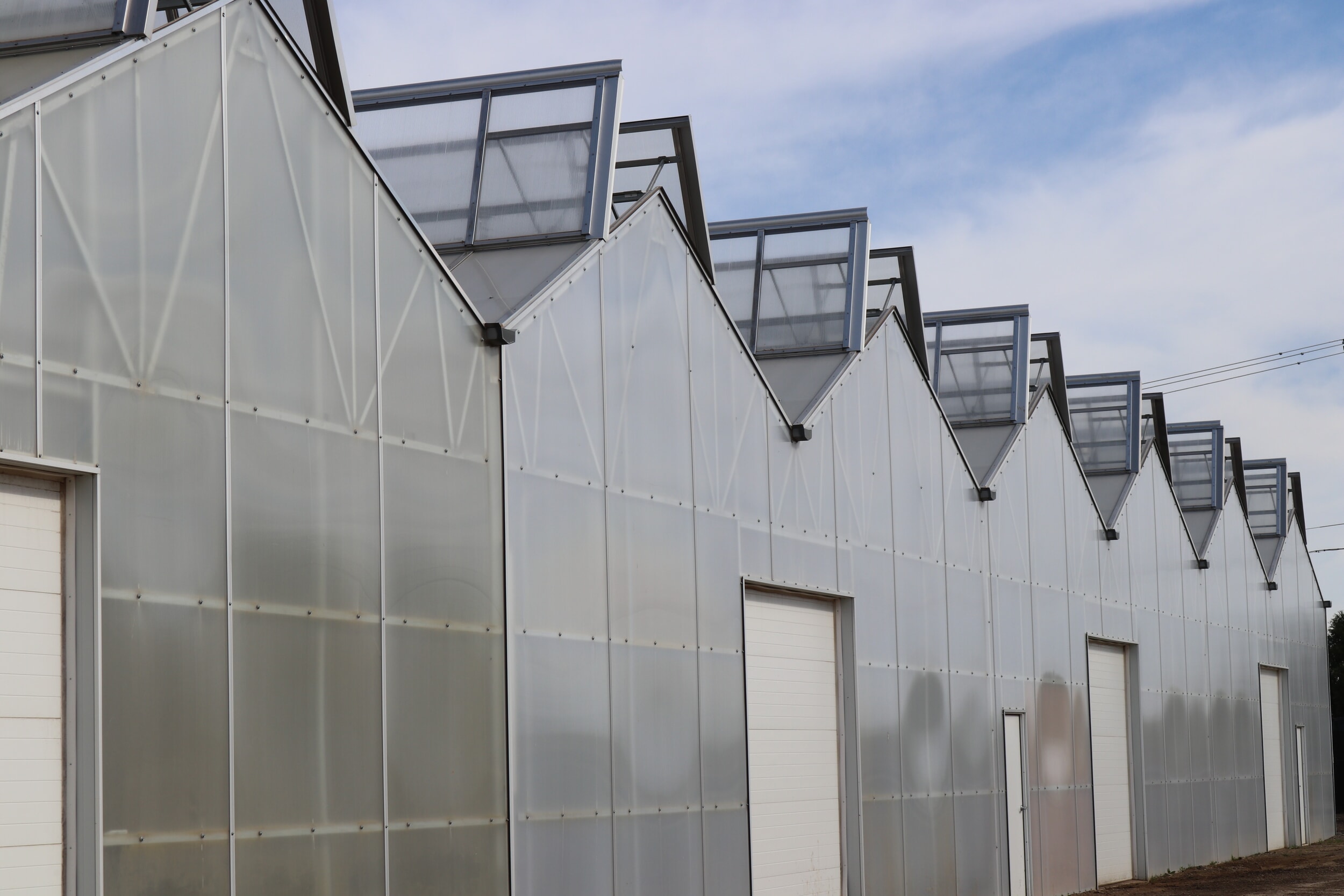 Overhead doors in Dual Atrium a-frame greenhouses allow for easy movement of plant material in and out of the greenhouse.
