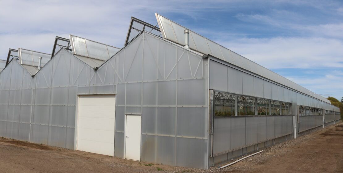 The Dual Atrium greenhouses at Goodmark Nurseries have EDDG exterior drop-down guillotine vents to help with airflow and ventilation.