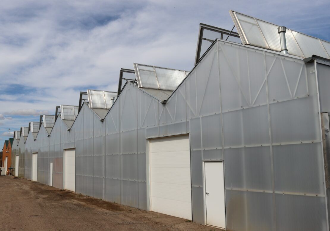 Prospiant built Goodmark’s greenhouse in two phases. A two-bay Dual Atrium structure went up in 2020, followed by additional bays in 2023.