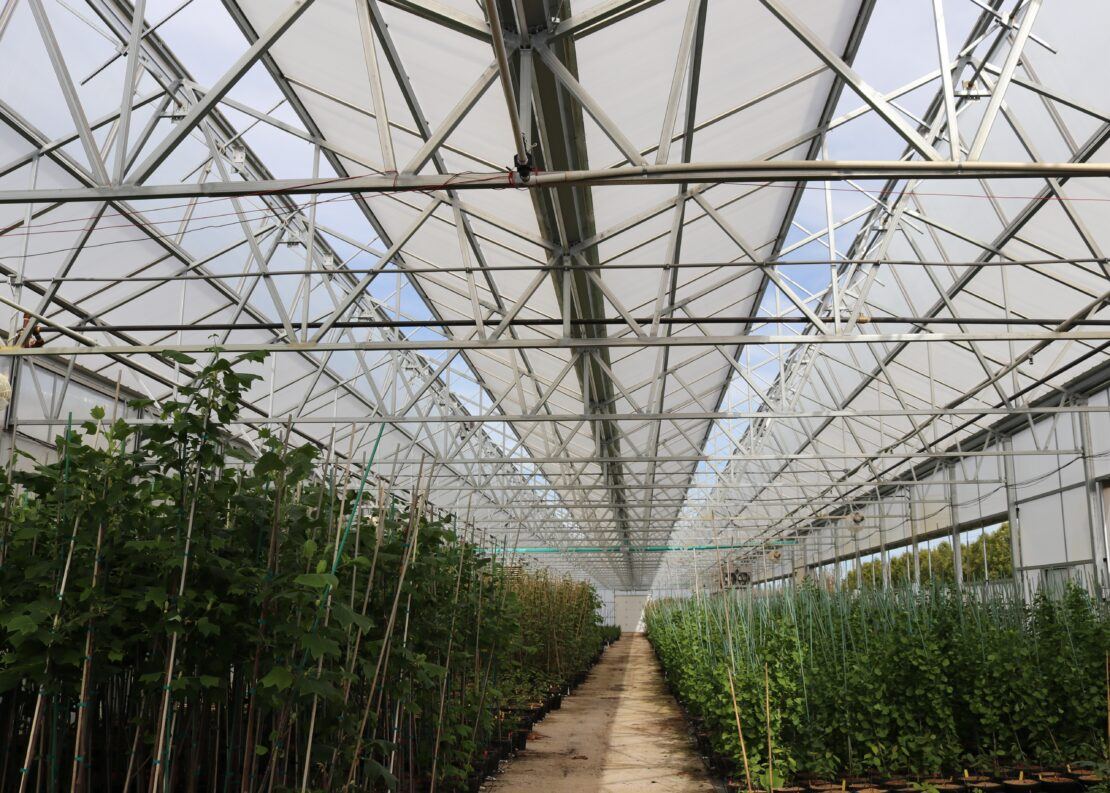 The double atrium roof vent opens upward and outward for air removal and to prevent heat build-up.