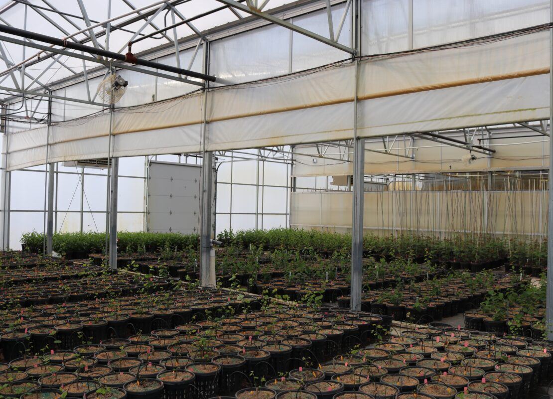 Interior wall partitions allow the greenhouse bay to be sectioned off.