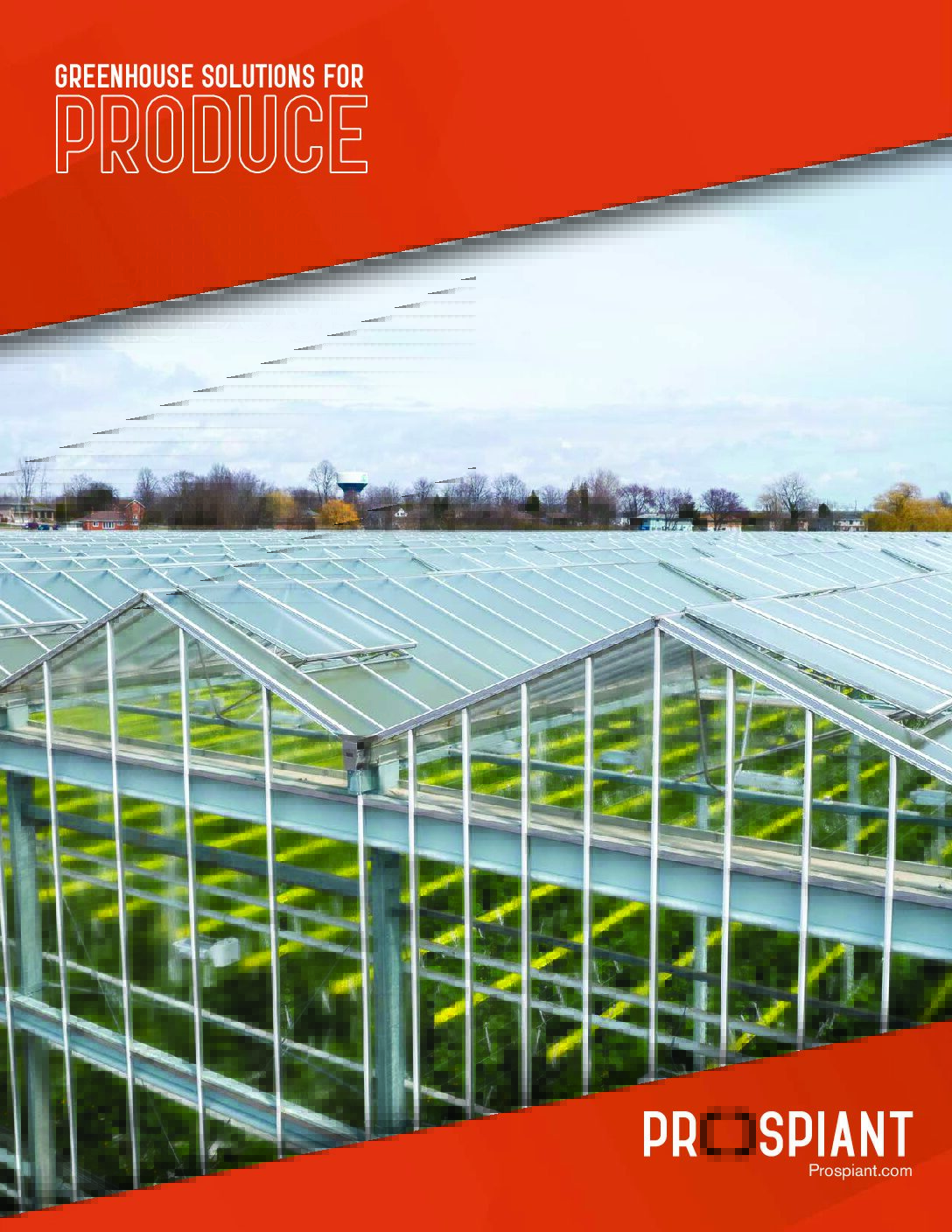 Produce Brochure